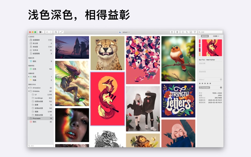 Picsee_看图照片管理