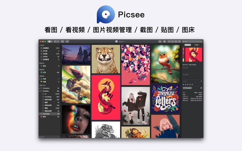 Picsee_看图照片管理
