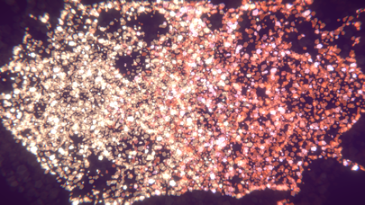 KiraFlow : 闪粉顺畅流动