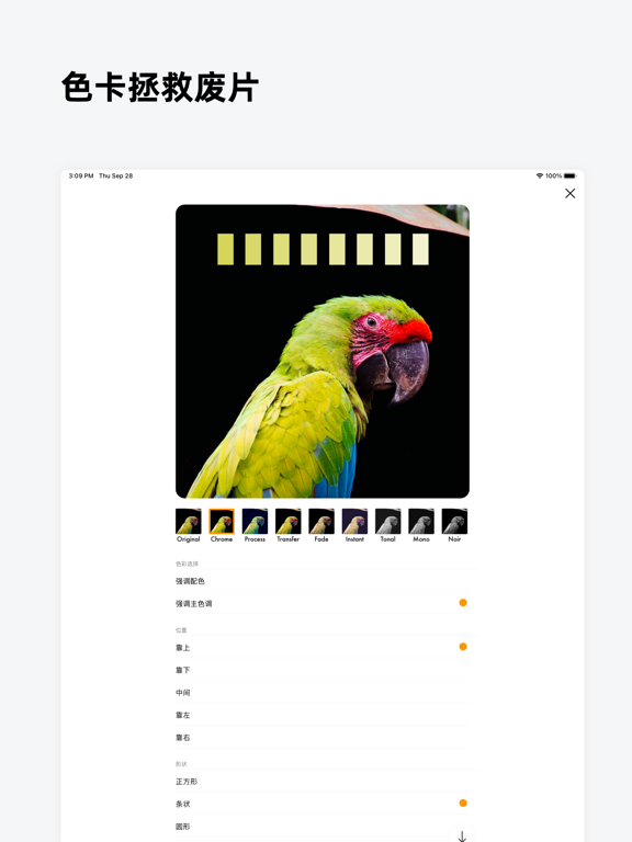 色卡 - 设计专业的配色工具