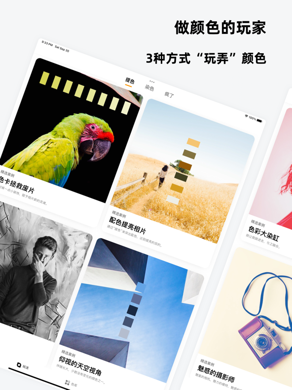 色卡 - 设计专业的配色工具