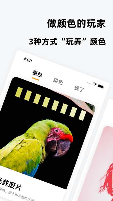 色卡 - 设计专业的配色工具