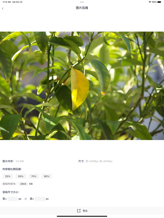 照片格式转换_照片视频格式转换压缩器