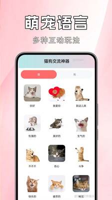 猫狗交流神器