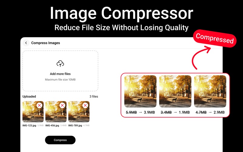 用于照片和视频的人工智能工具包