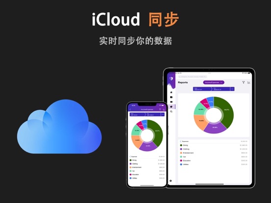 DayCost 2 - 记账财务专业软件