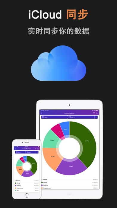 DayCost 2 - 记账财务专业软件