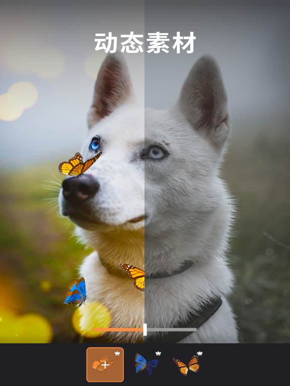 Motionleap：Lightricks的专业动图制作软件