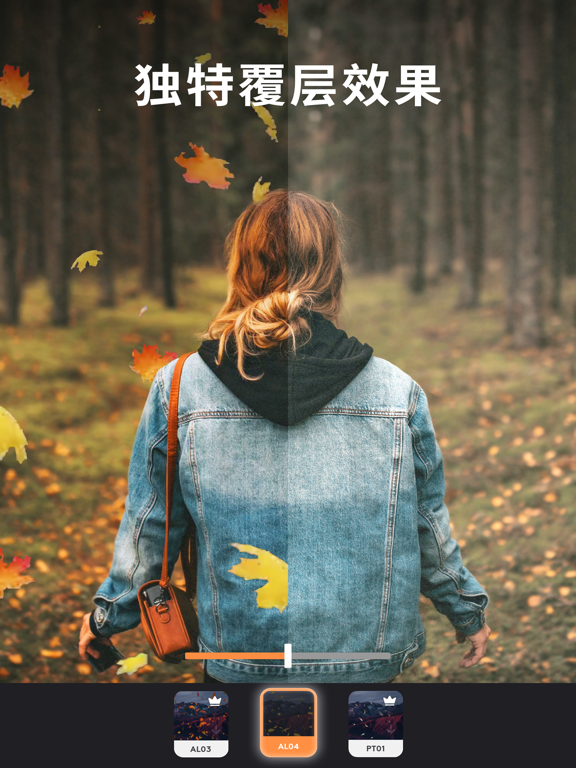 Motionleap：Lightricks的专业动图制作软件