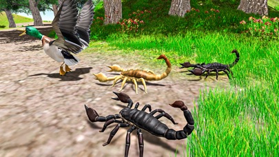 飞行 鸭子 生活 模拟器