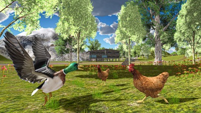 飞行 鸭子 生活 模拟器