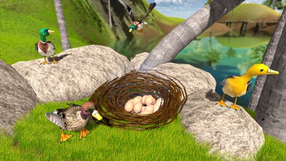 飞行 鸭子 生活 模拟器