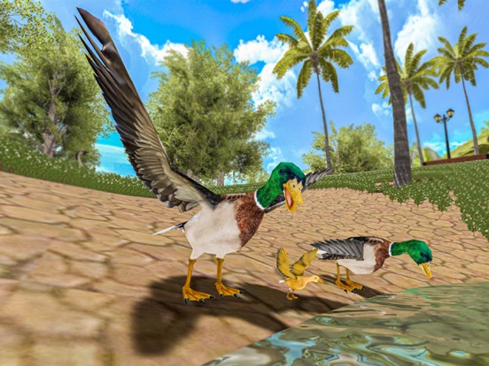 飞行 鸭子 生活 模拟器