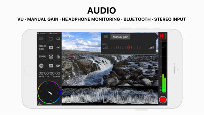 Mavis - 专业电影制作