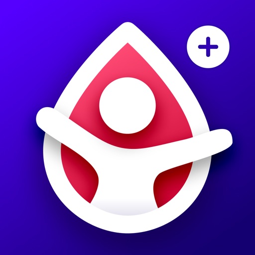 血糖伙伴+: 糖尿病记录监控器