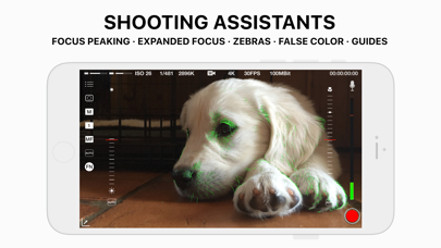 Mavis - 专业电影制作