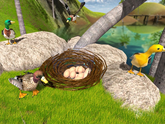 飞行 鸭子 生活 模拟器