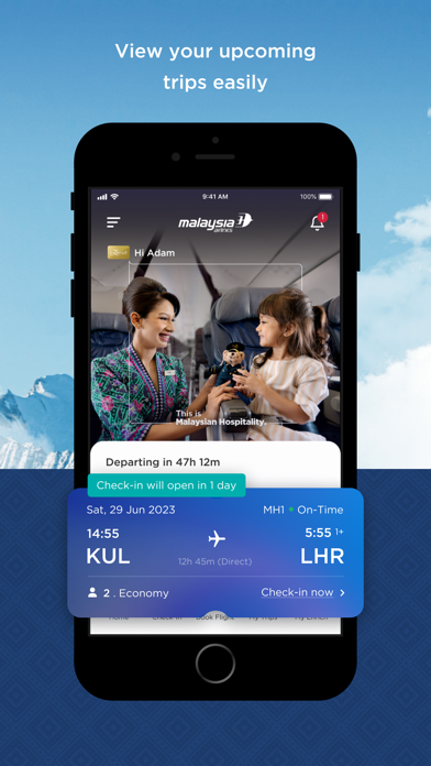 马来西亚国际航空