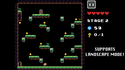 迷宫探险: 像素逃亡 Mystery Dungeon