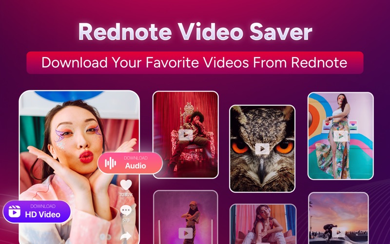 视频图片保存器_小红书