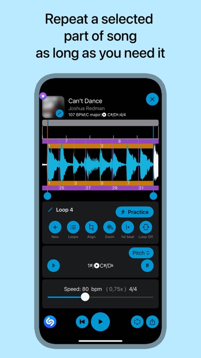 Music Looper - 练习工具