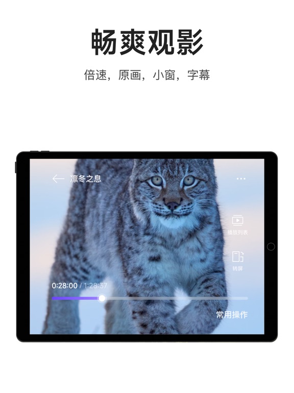 迅雷浏览器-主打纯净极简浏览