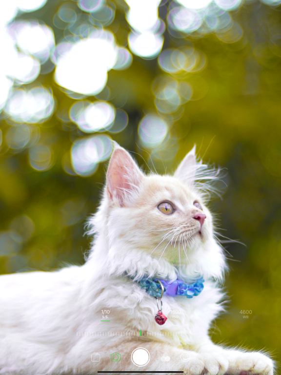 Pro Camera-专业相机模式单反摄影摄像拍照相机软件