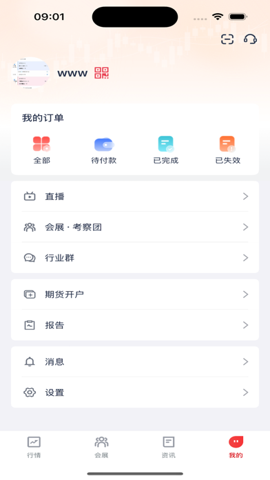 掌上有色