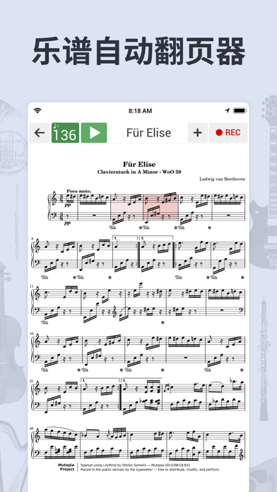 调音器, 节拍器