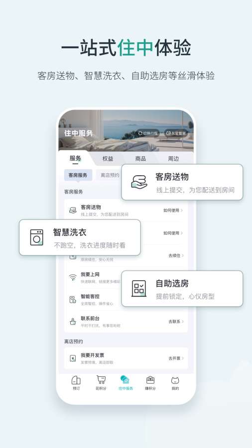 东呈青猫会