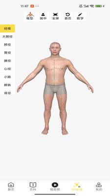 师芝林