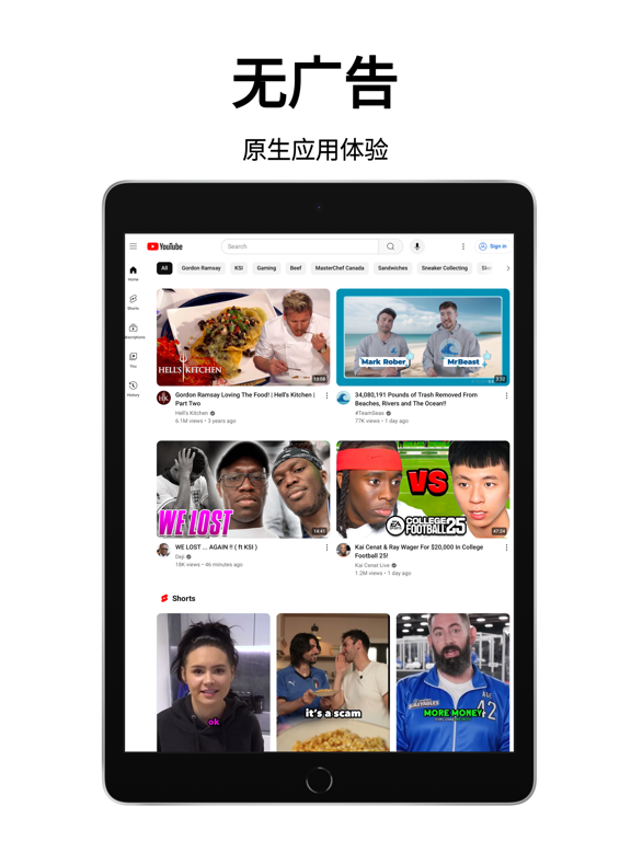 Viddle: 无广告视频浏览器