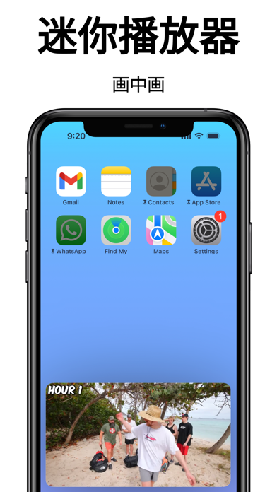 Viddle: 无广告视频浏览器