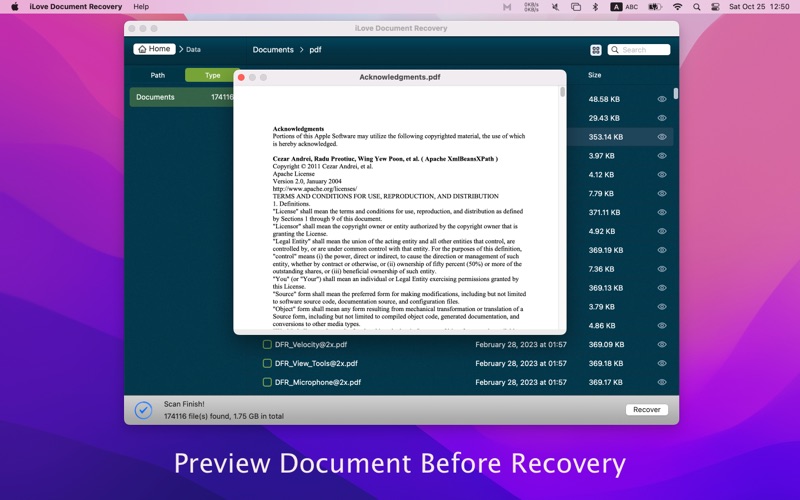 iLoveDocumentRecovery