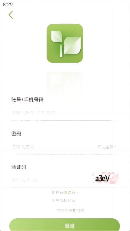 乾茶