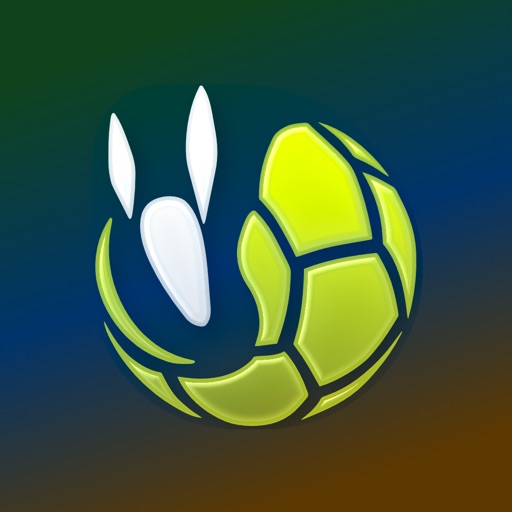 记足球-运动与数据助手