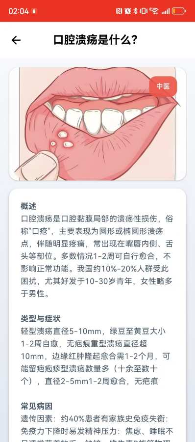 菲梵宝