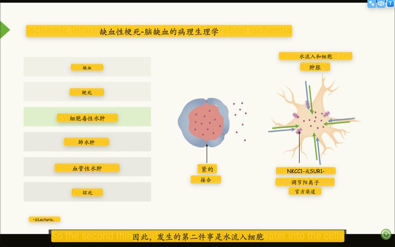 同屏译