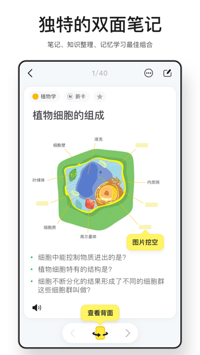 闪卡_复习备考学霸笔记