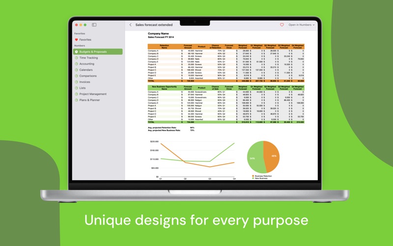 为专业Numbers模板