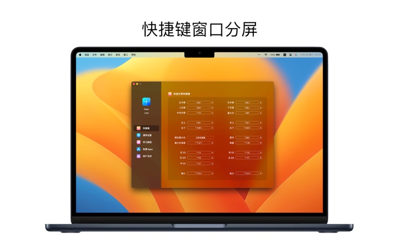 Pane_超好用的分屏窗口大小位置控制软件