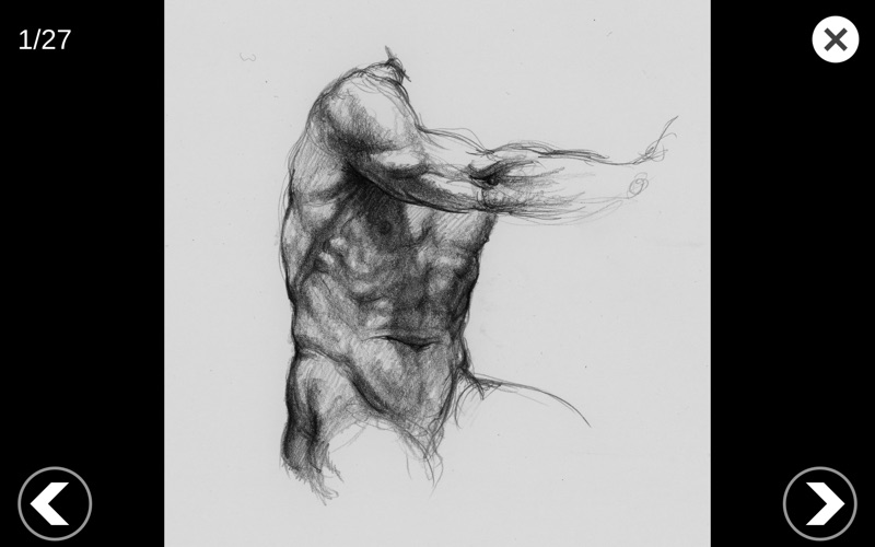 艺术家之3D解剖图2025