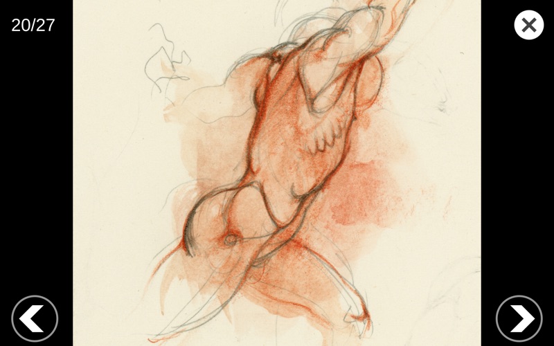 艺术家之3D解剖图2025