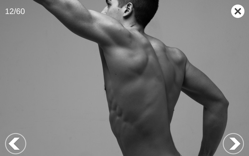 艺术家之3D解剖图2025