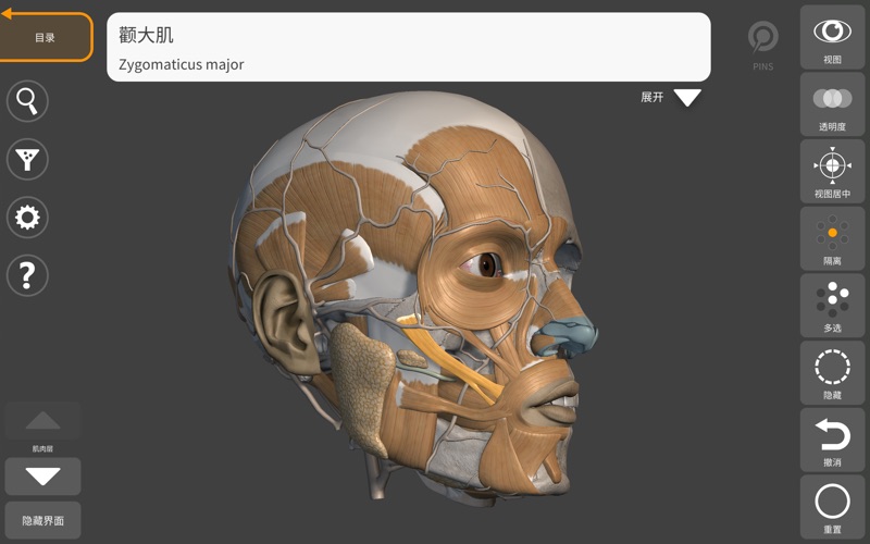 艺术家之3D解剖图2025