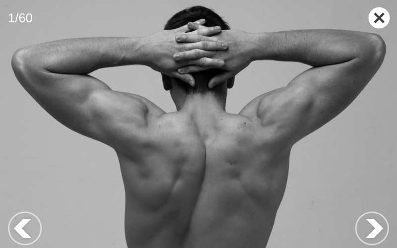 艺术家之3D解剖图2025