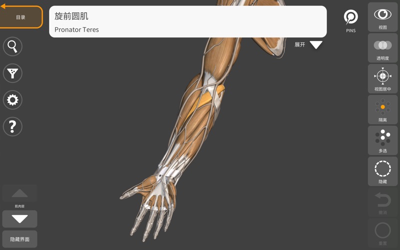 艺术家之3D解剖图2025