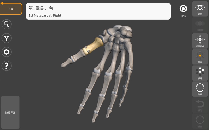 艺术家之3D解剖图2025