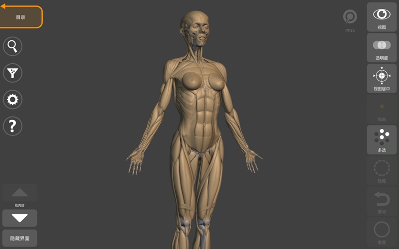 艺术家之3D解剖图2025