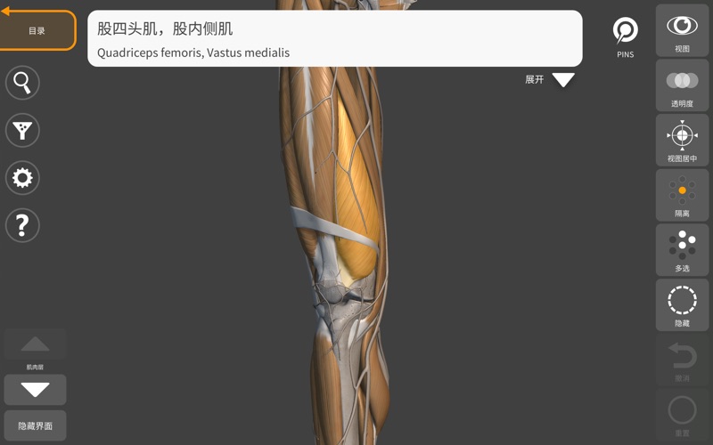 艺术家之3D解剖图2025